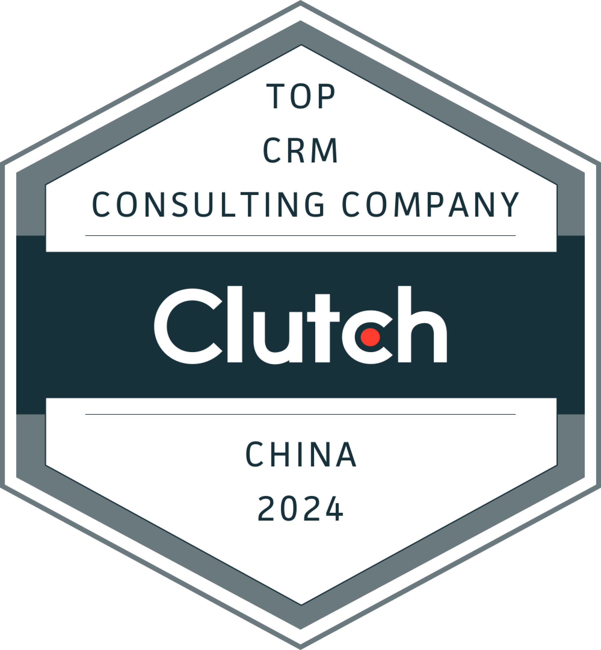 TOP CRM CONSULTING CHINA LEADER 2024